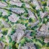 Voal din matase naturala - Imprimeu floral cu hortensii Violet și frunze Verzi - imagine 9