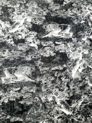 Tesatura jerse din viscoza cu elastan - Imprimeu vintage, Alb / Negru